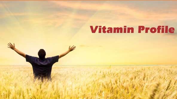 Vitamin Profile