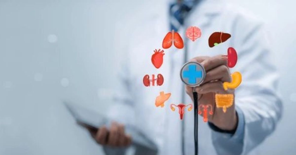 Full Body Checkup Tests